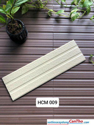 Việt Nhật HCM 055